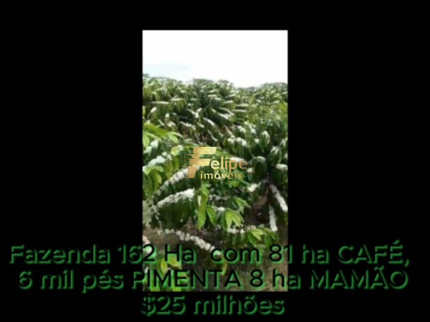 Fazenda, 162 m² - Foto 10