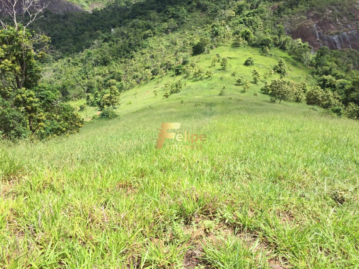 Fazenda, 50 m² - Foto 8
