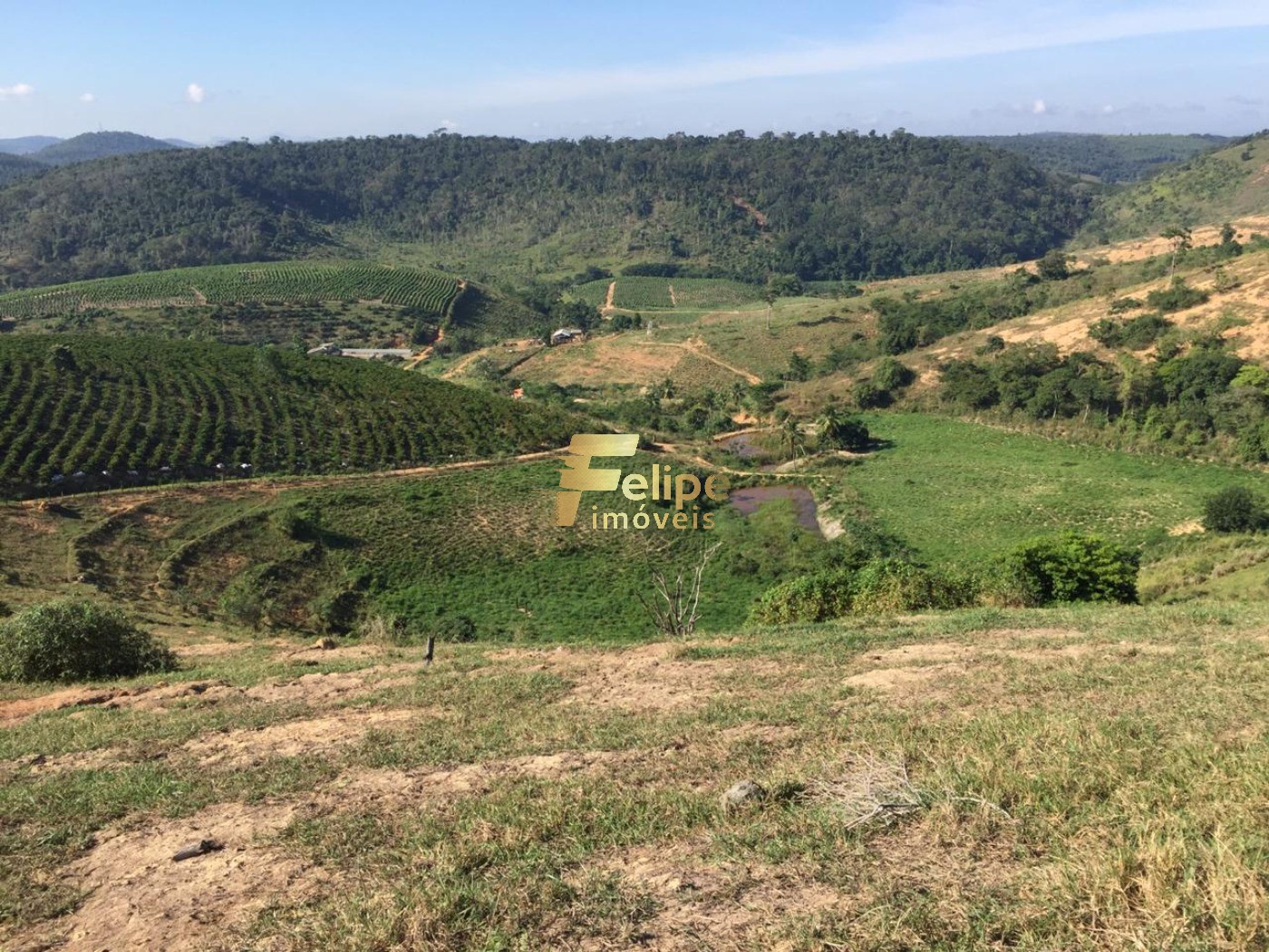 Fazenda, 50 m² - Foto 22