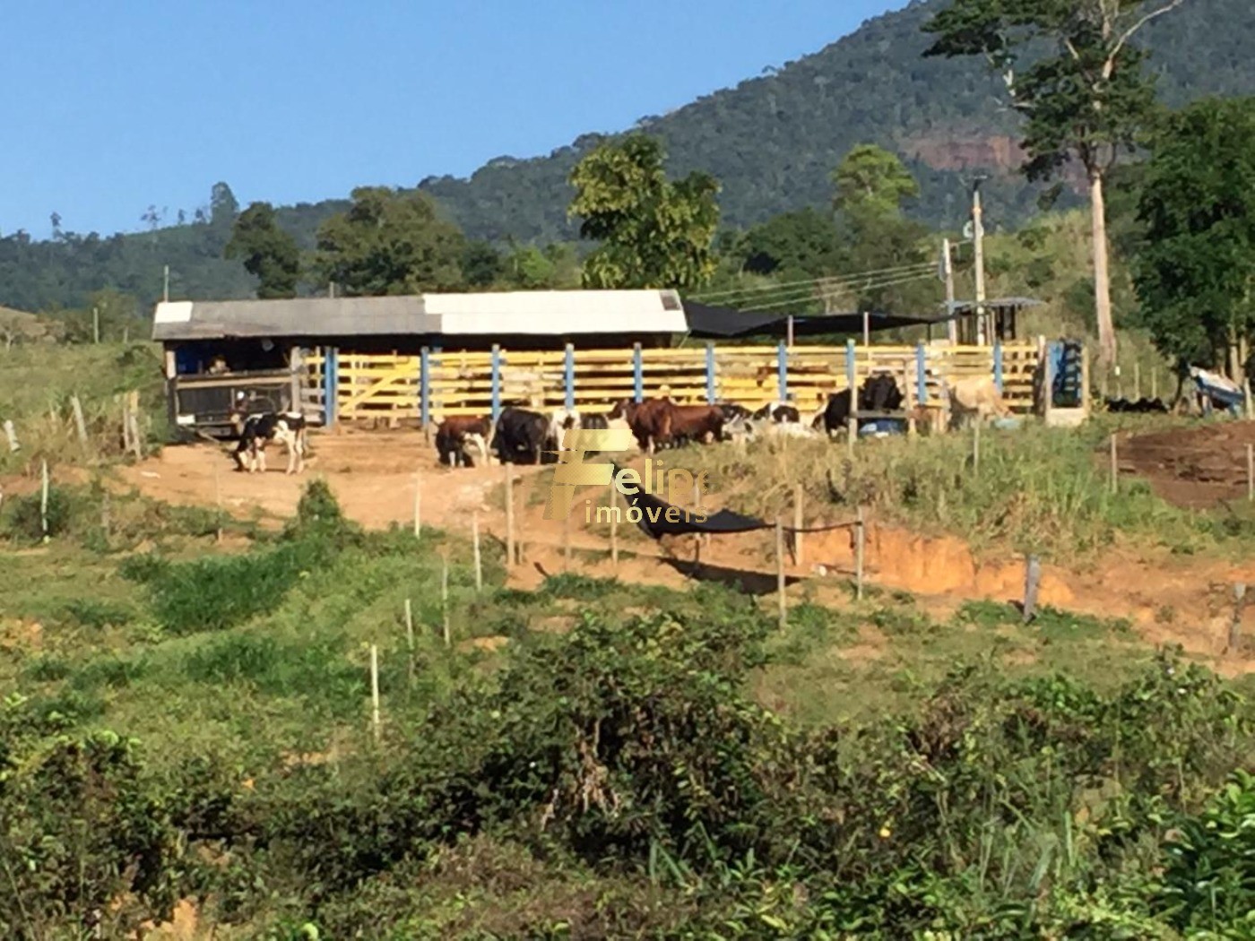 Fazenda, 50 m² - Foto 12