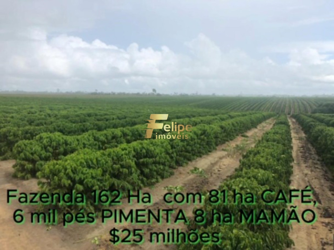 Fazenda, 162 m² - Foto 24