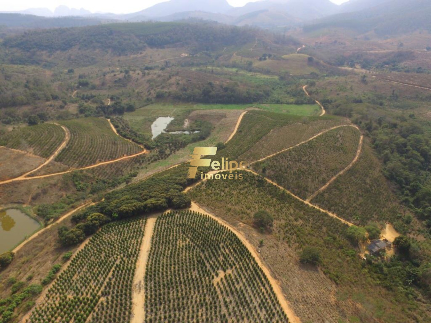 Fazenda, 50 m² - Foto 3