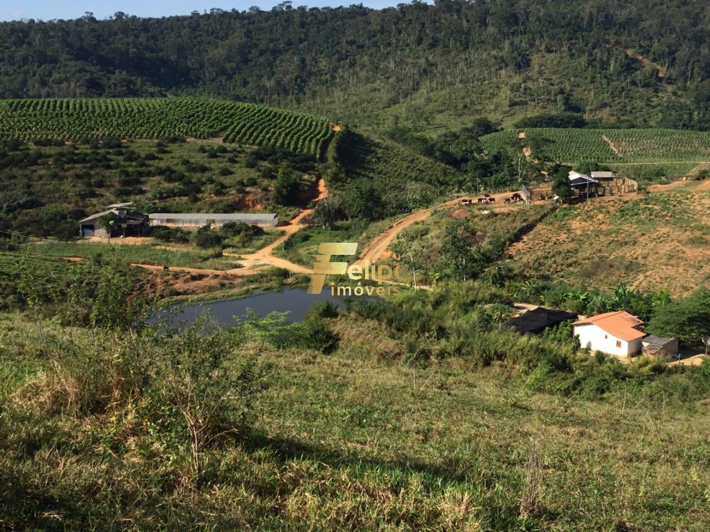 Fazenda, 50 m² - Foto 24