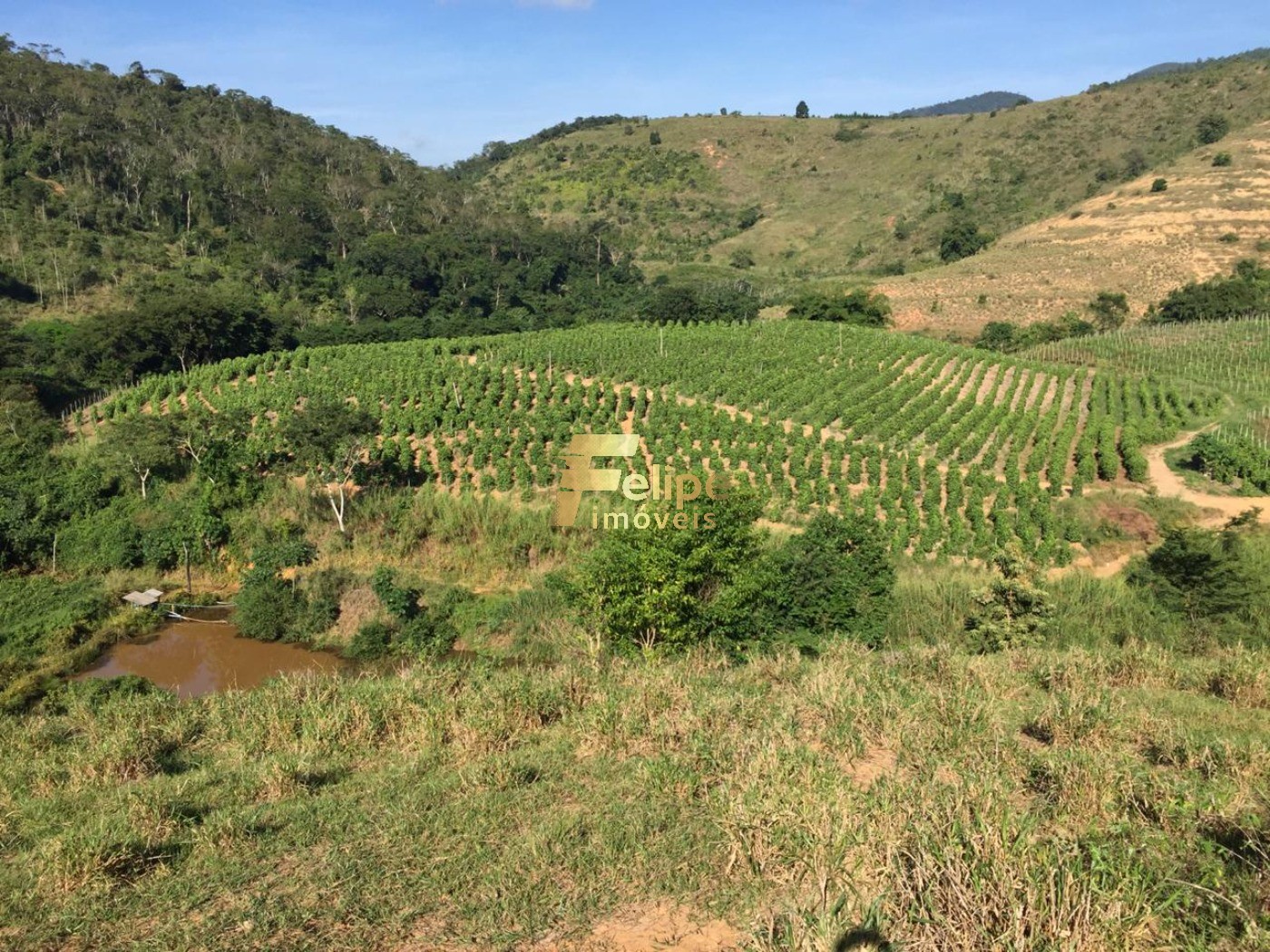 Fazenda, 50 m² - Foto 11