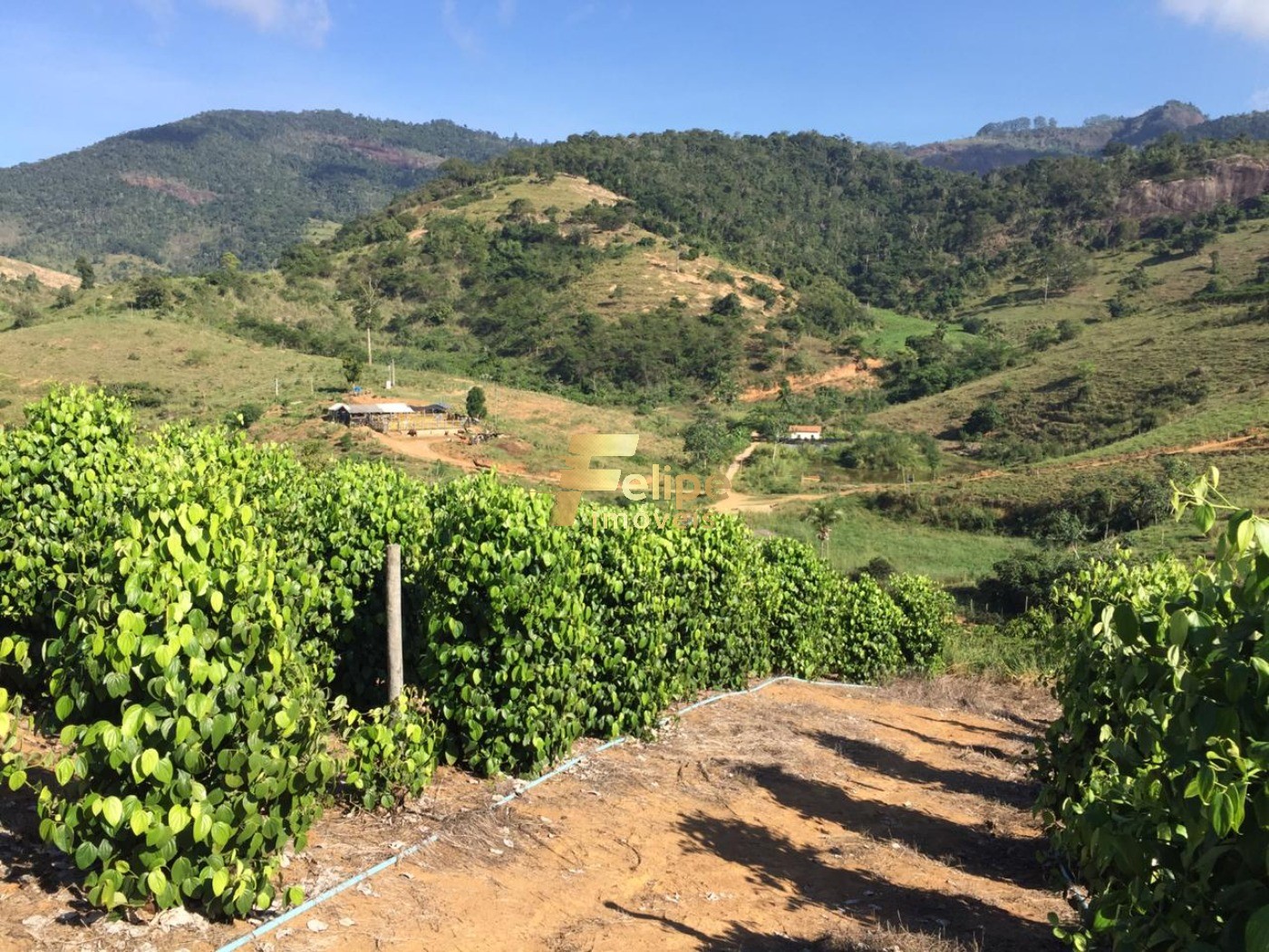 Fazenda, 50 m² - Foto 20