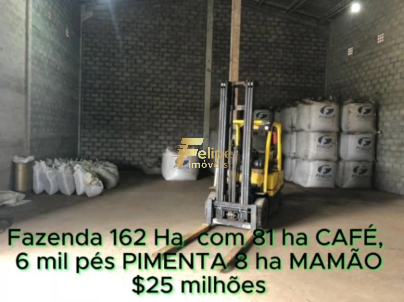 Fazenda, 162 m² - Foto 20