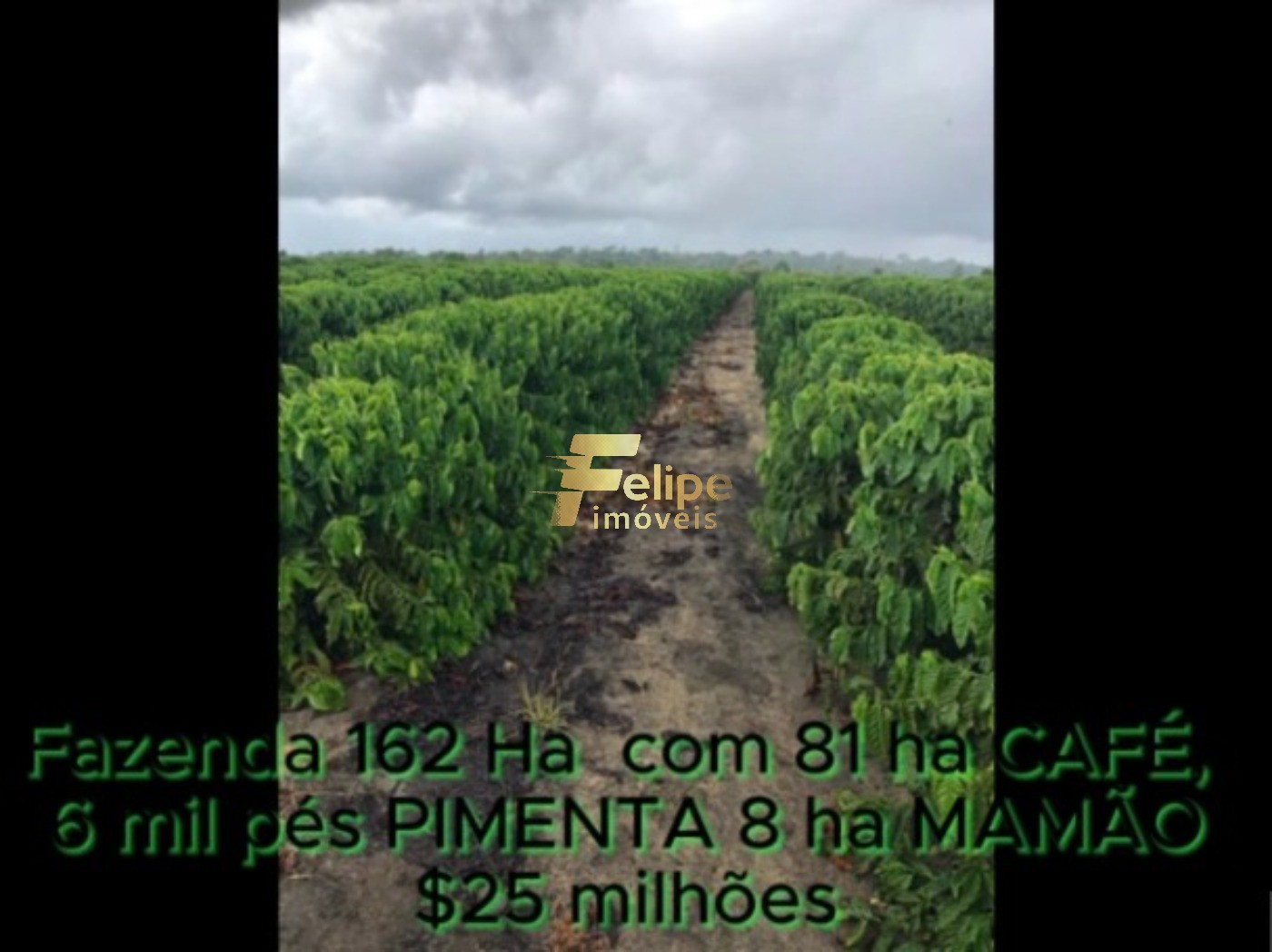 Fazenda, 162 m² - Foto 7