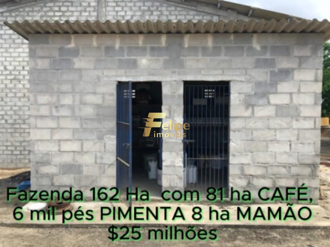 Fazenda, 162 m² - Foto 11