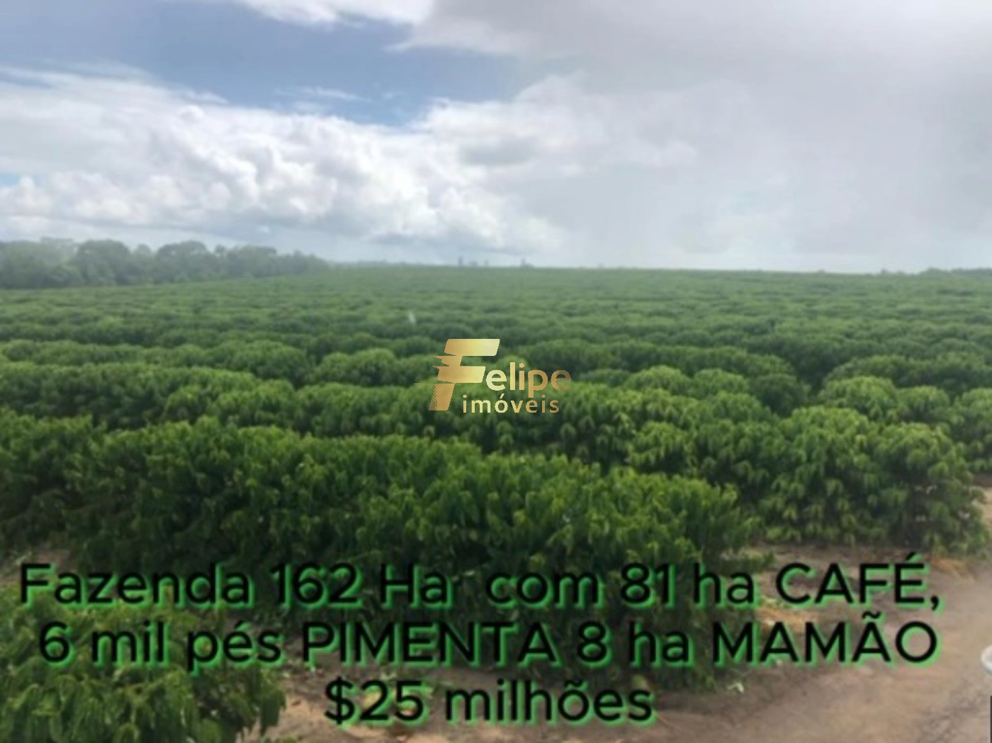 Fazenda, 162 m² - Foto 21