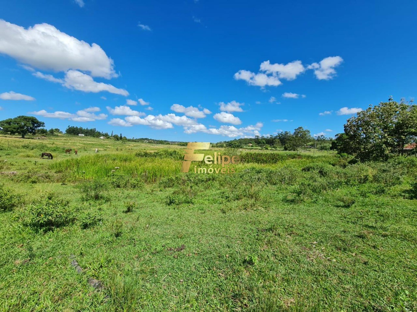 Fazenda, 52 m² - Foto 9