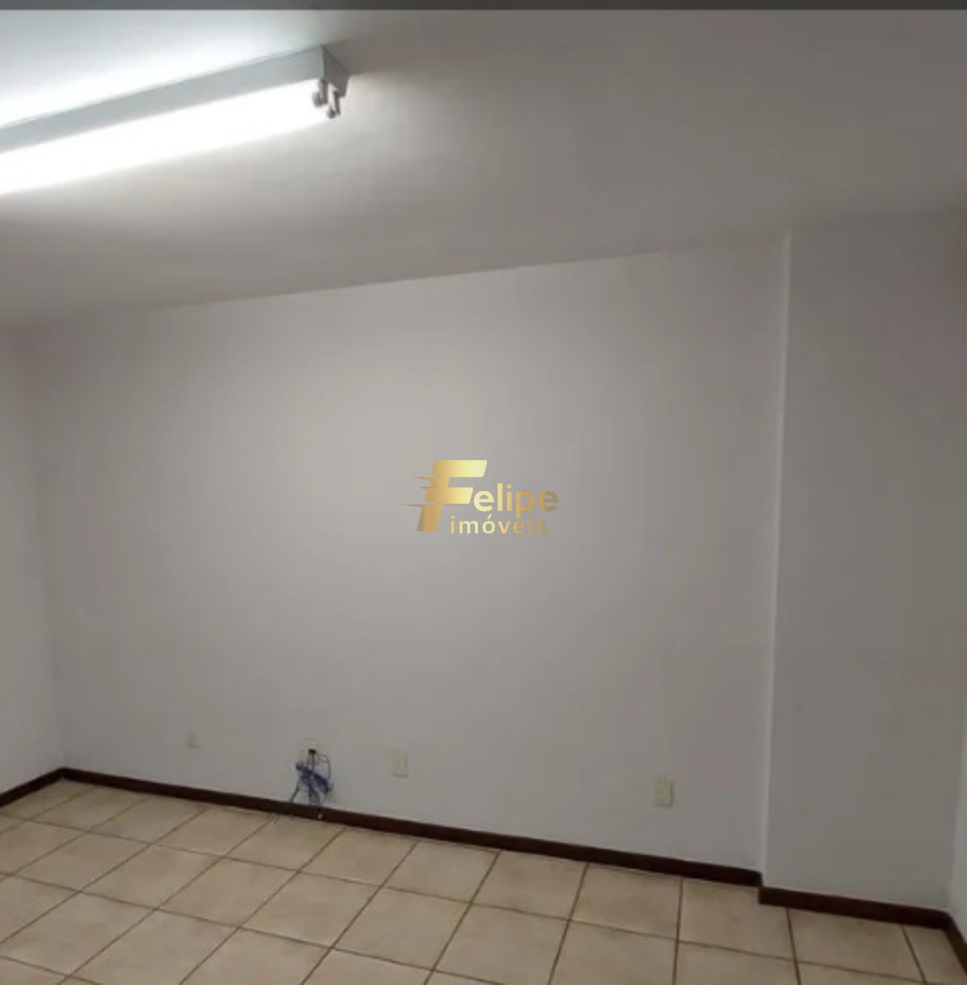 Loja-Salão, 487 m² - Foto 4