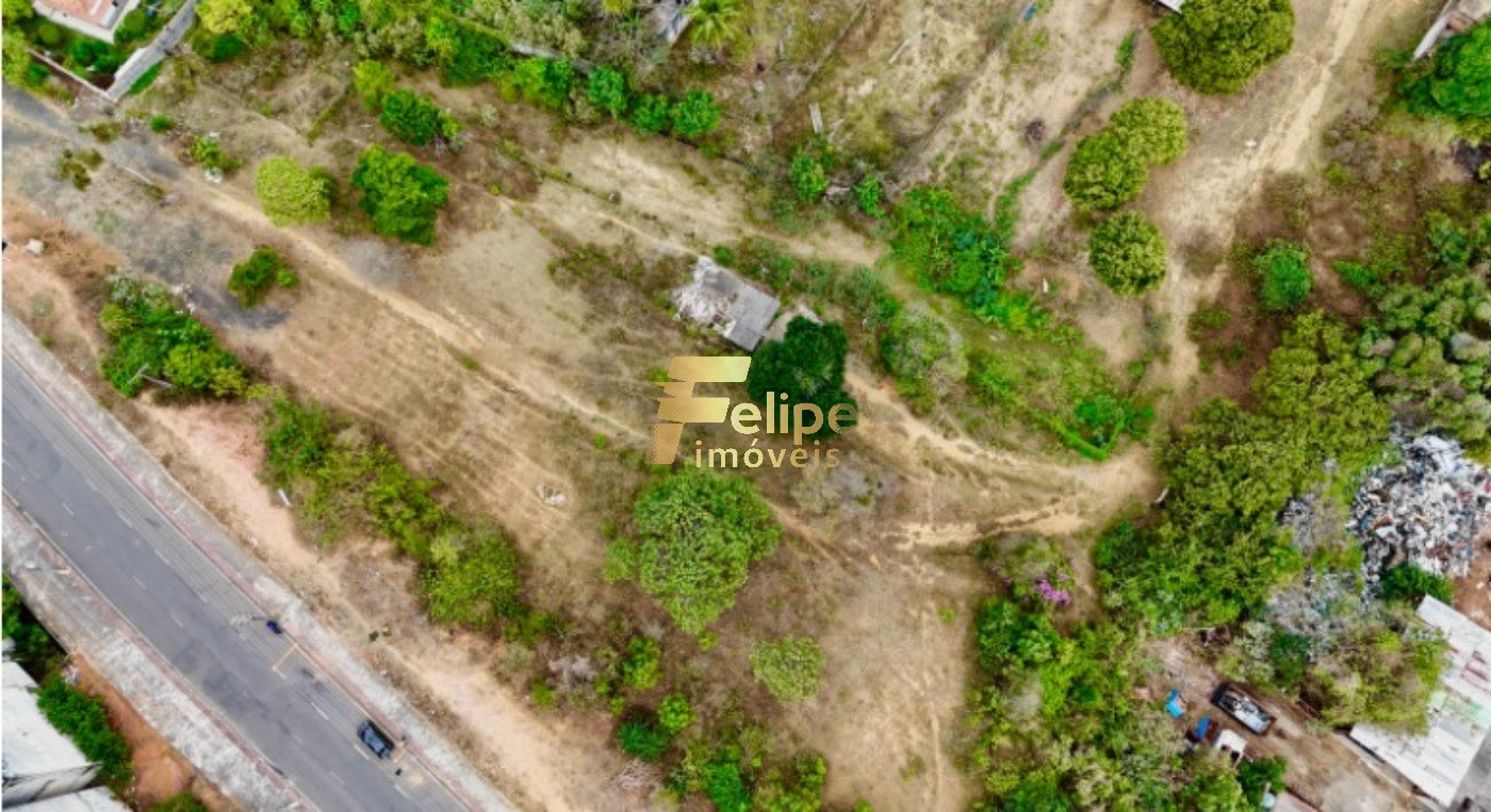 Terreno, 9500 m² - Foto 8