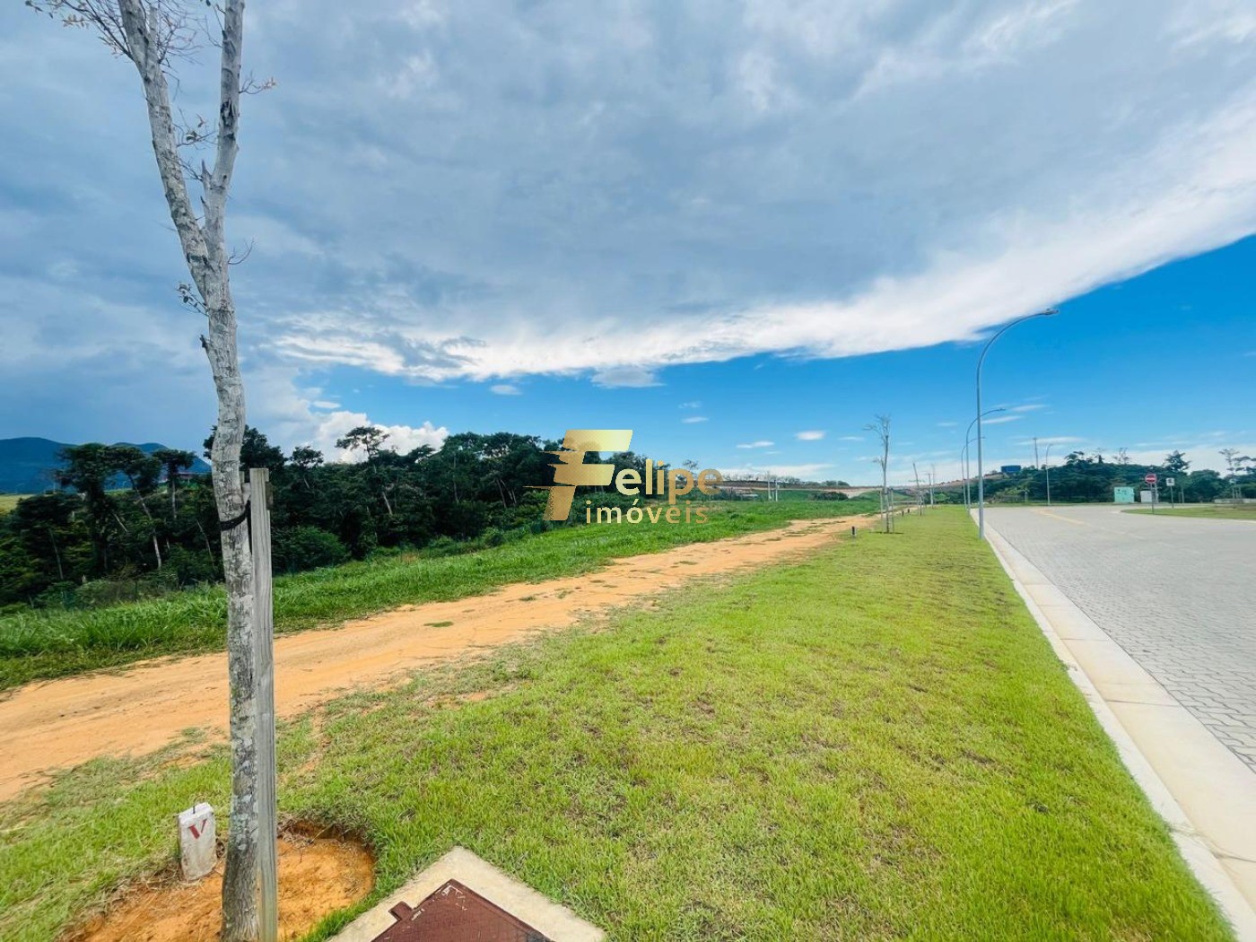 Terreno, 663 m² - Foto 6