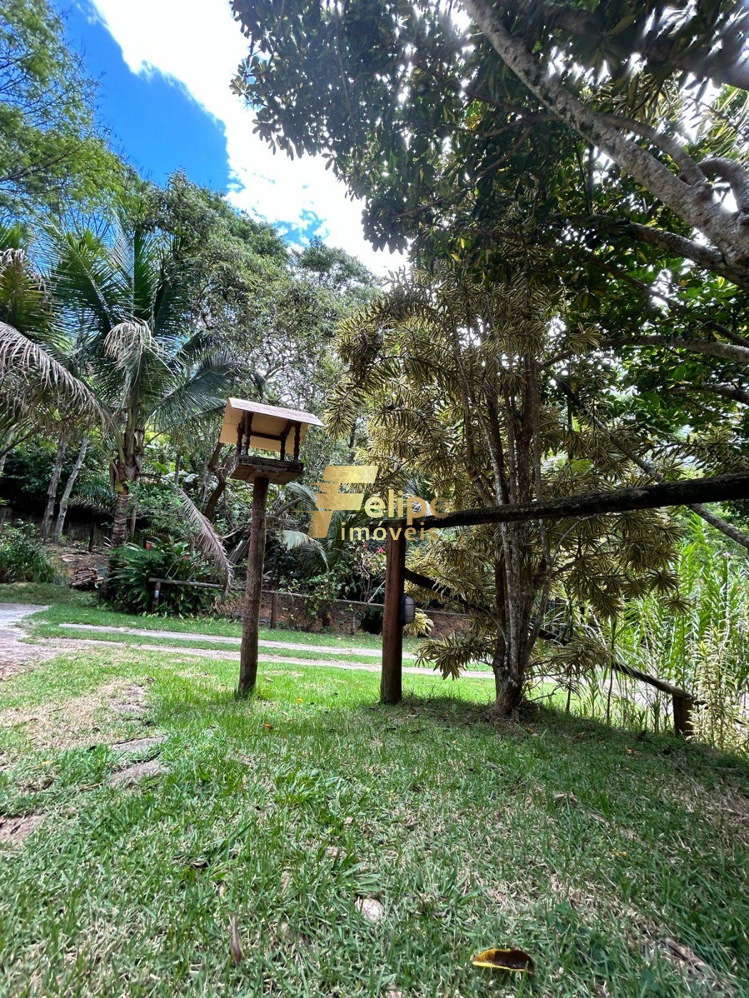 Sítio, 2 quartos, 2 hectares - Foto 18