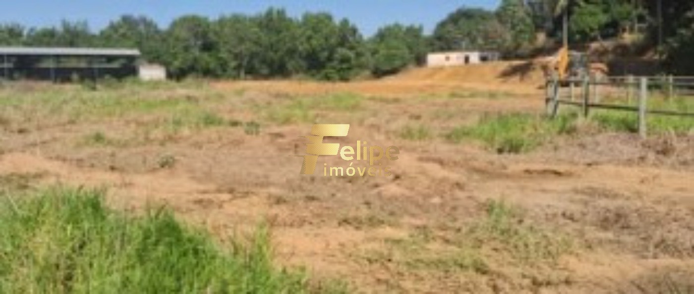 Sítio, 4 quartos, 10000 m² - Foto 8