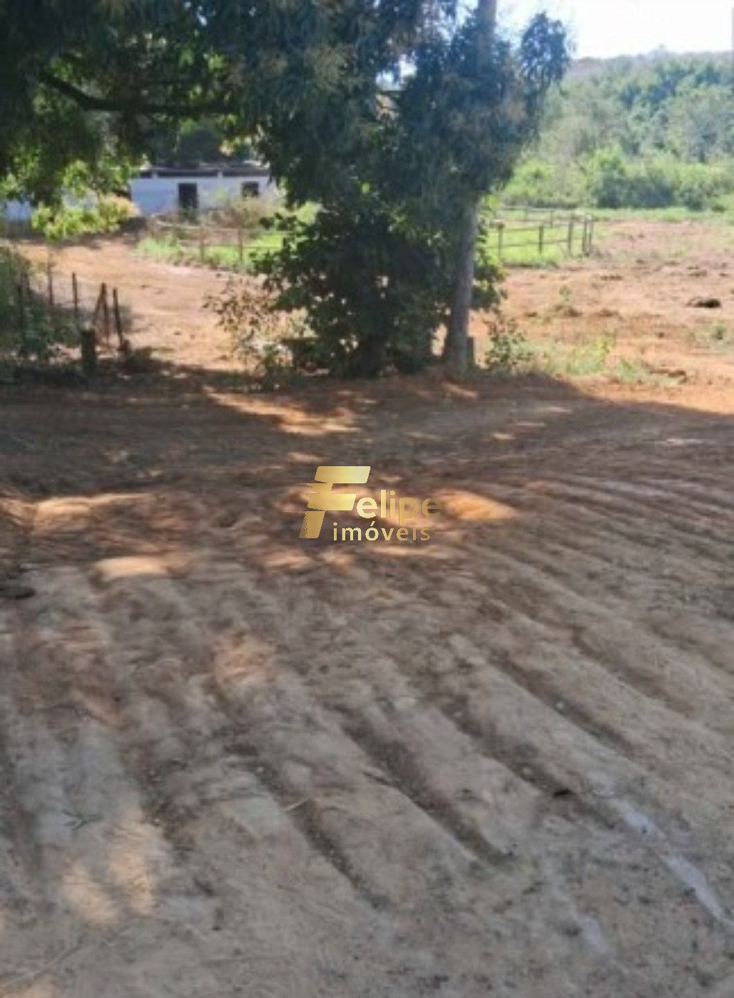 Sítio, 4 quartos, 10000 m² - Foto 16