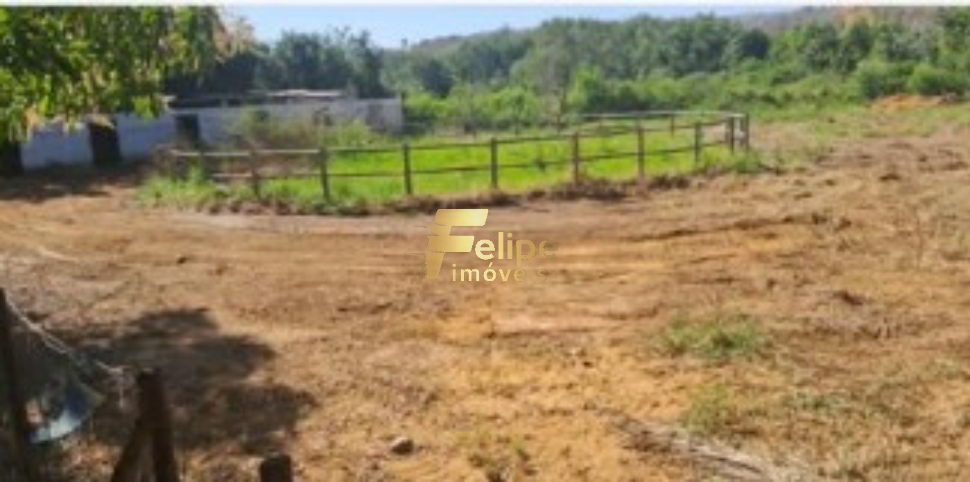 Sítio, 4 quartos, 10000 m² - Foto 20
