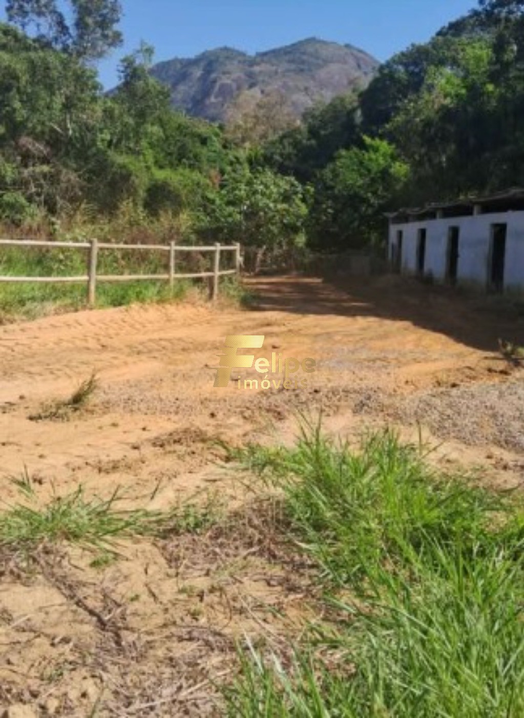 Sítio, 4 quartos, 10000 m² - Foto 2