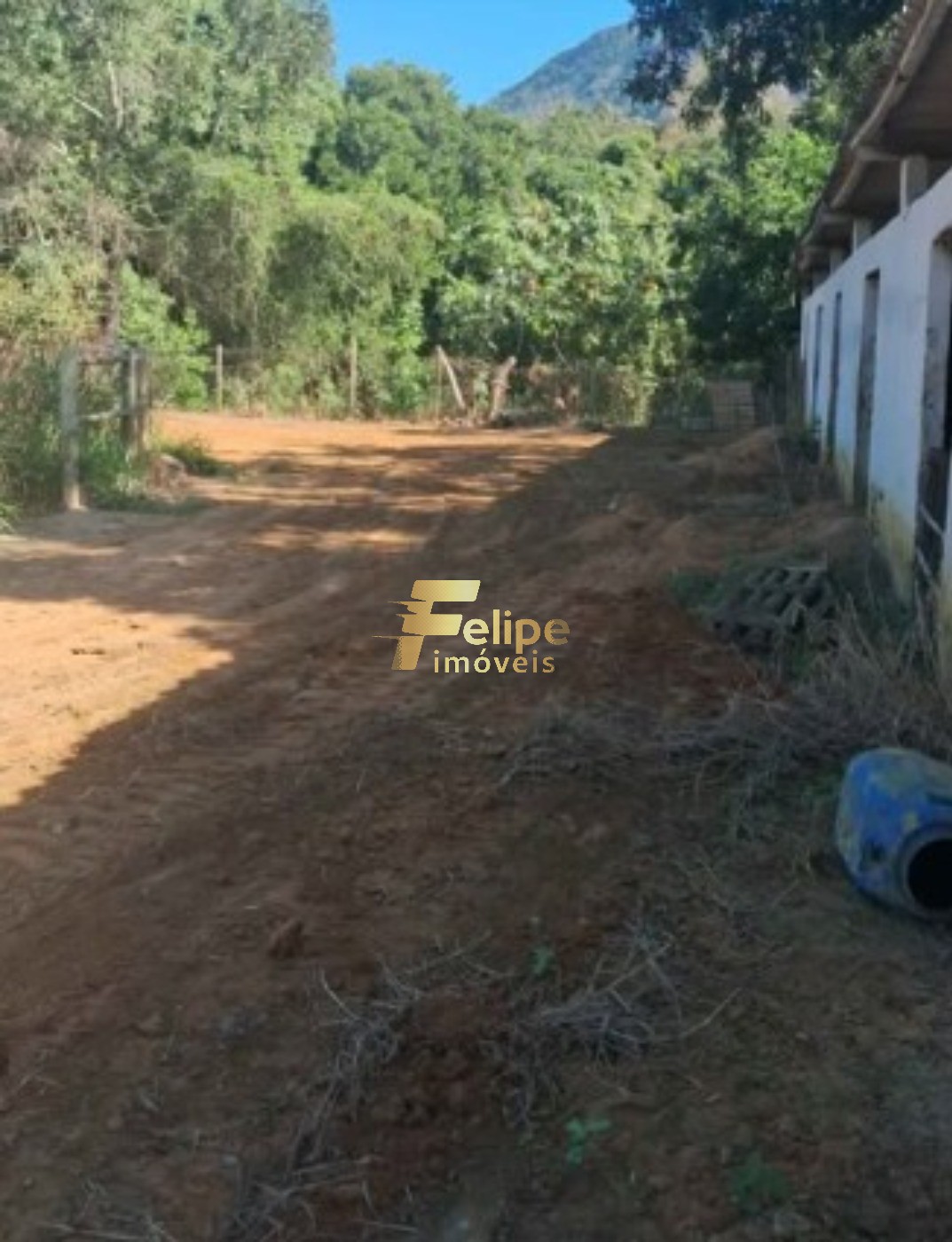 Sítio, 4 quartos, 10000 m² - Foto 3