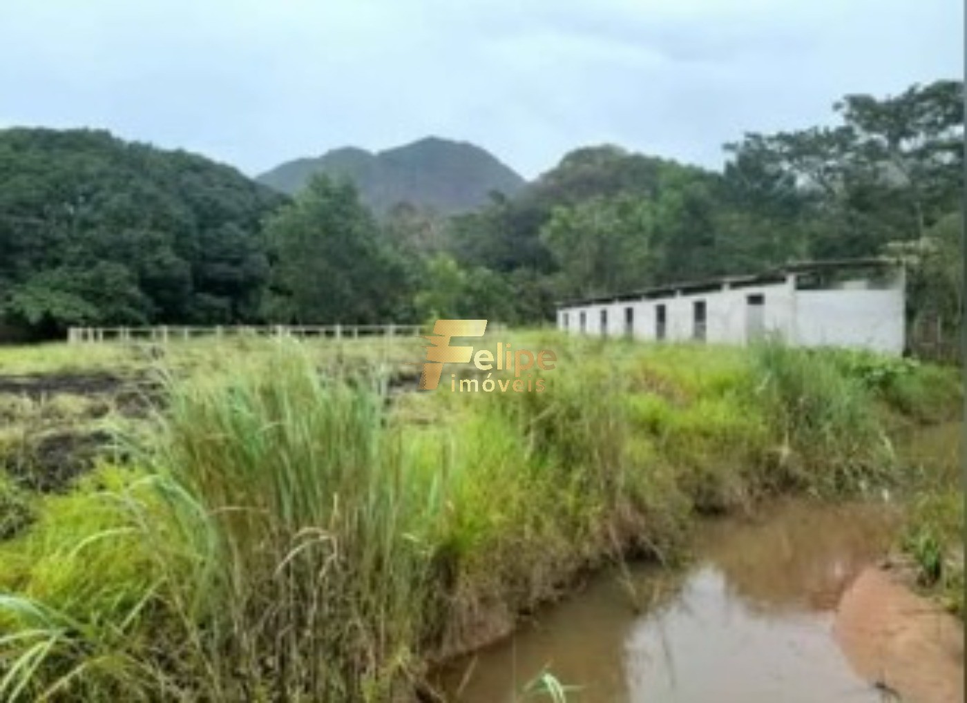 Sítio, 4 quartos, 10000 m² - Foto 1