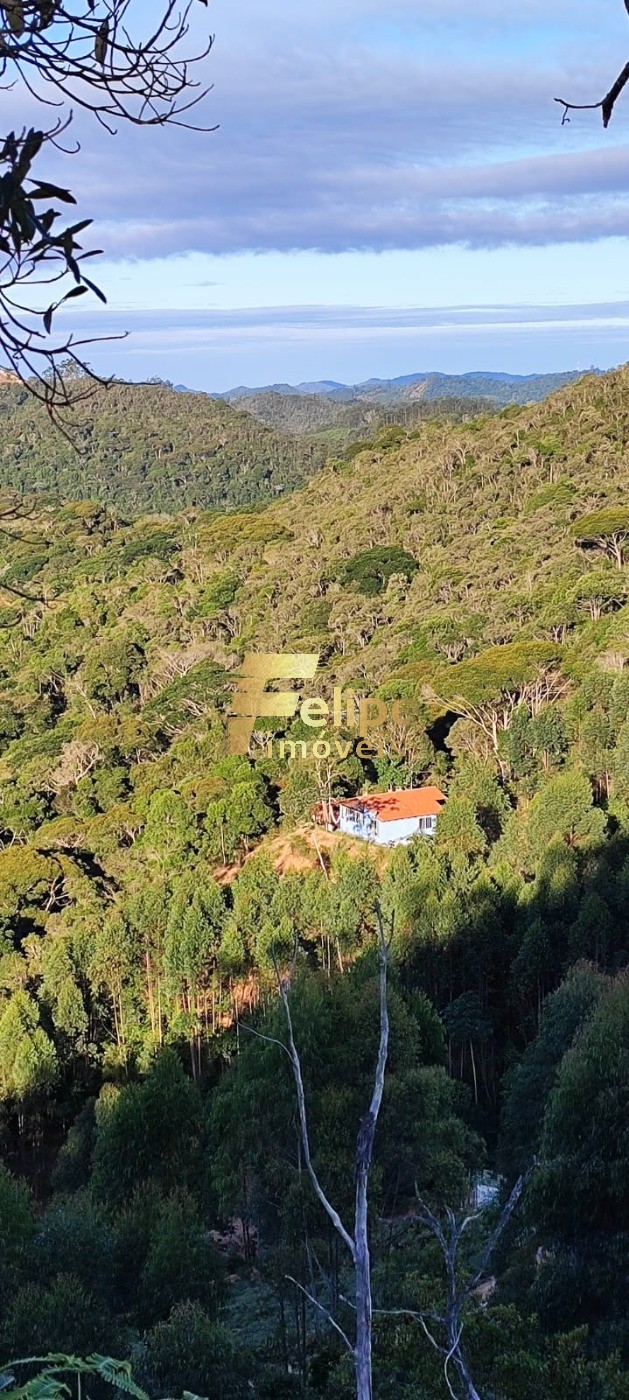 Sítio, 2 quartos, 3000 m² - Foto 2