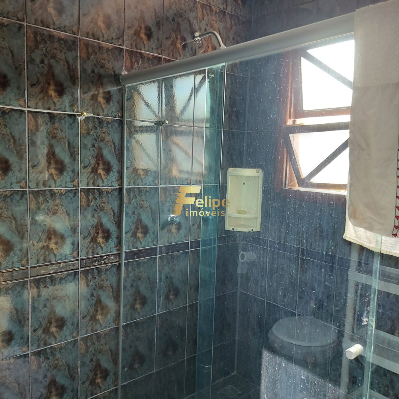 Casa, 4 quartos, 335 m² - Foto 14