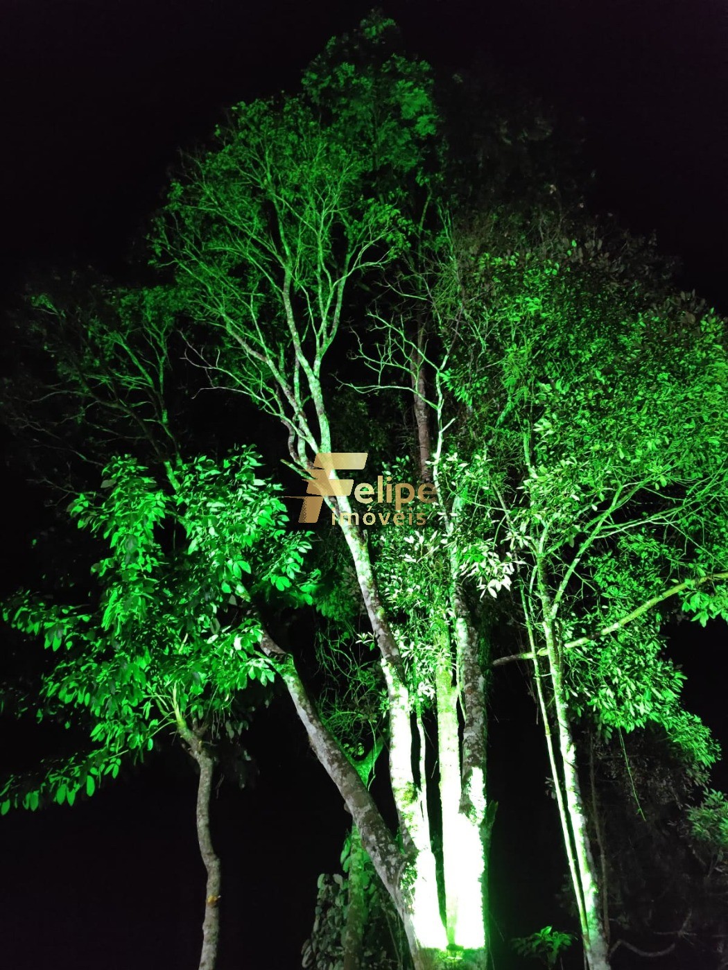 Sítio, 2 quartos, 3000 m² - Foto 15