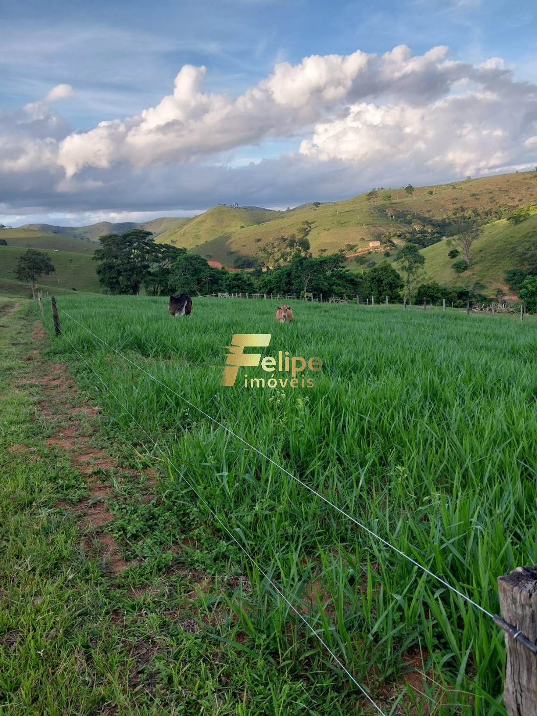 Fazenda, 65 m² - Foto 5