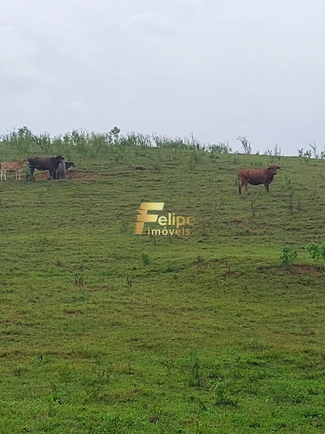 Fazenda, 65 m² - Foto 7