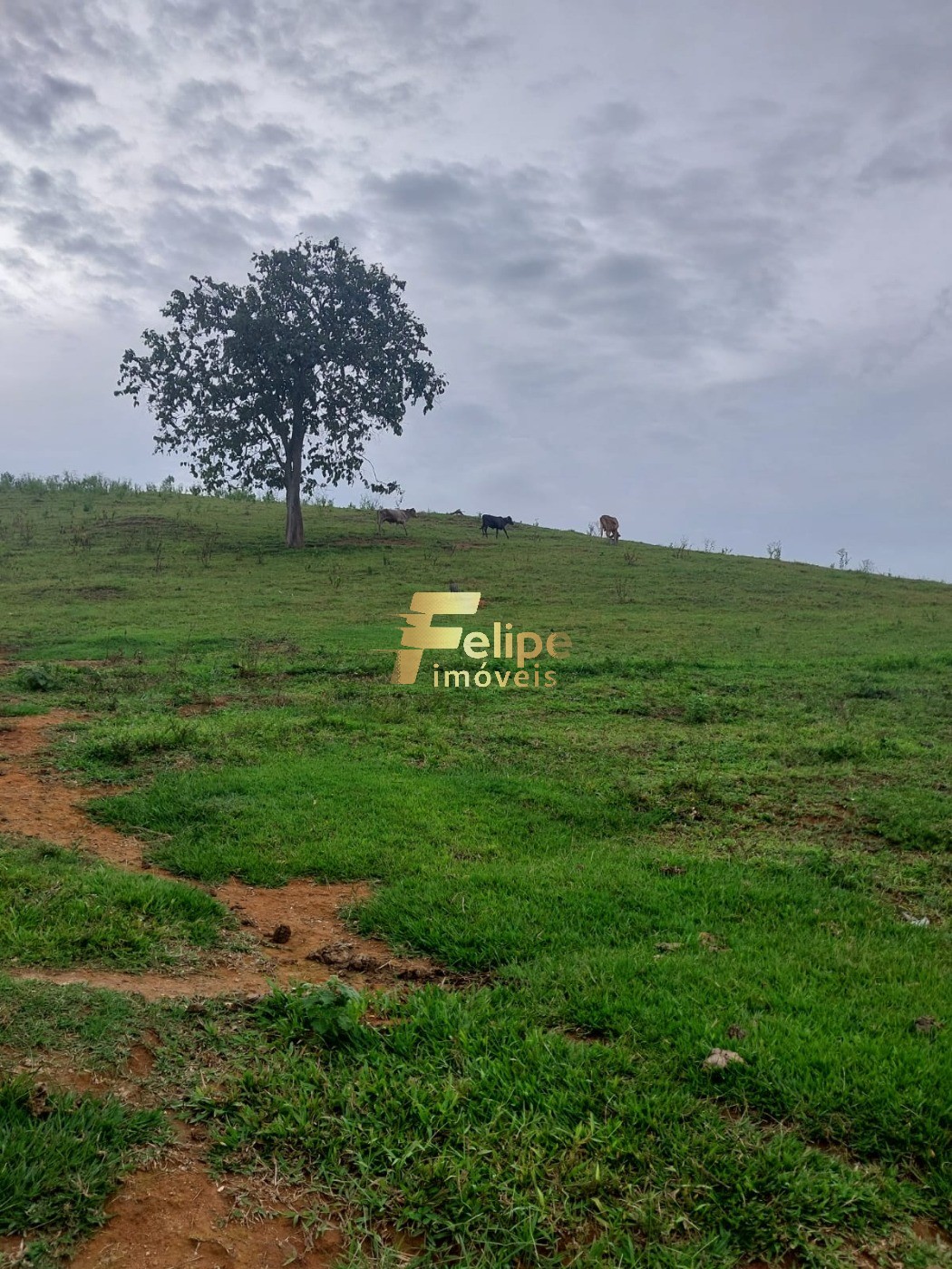 Fazenda, 65 m² - Foto 6