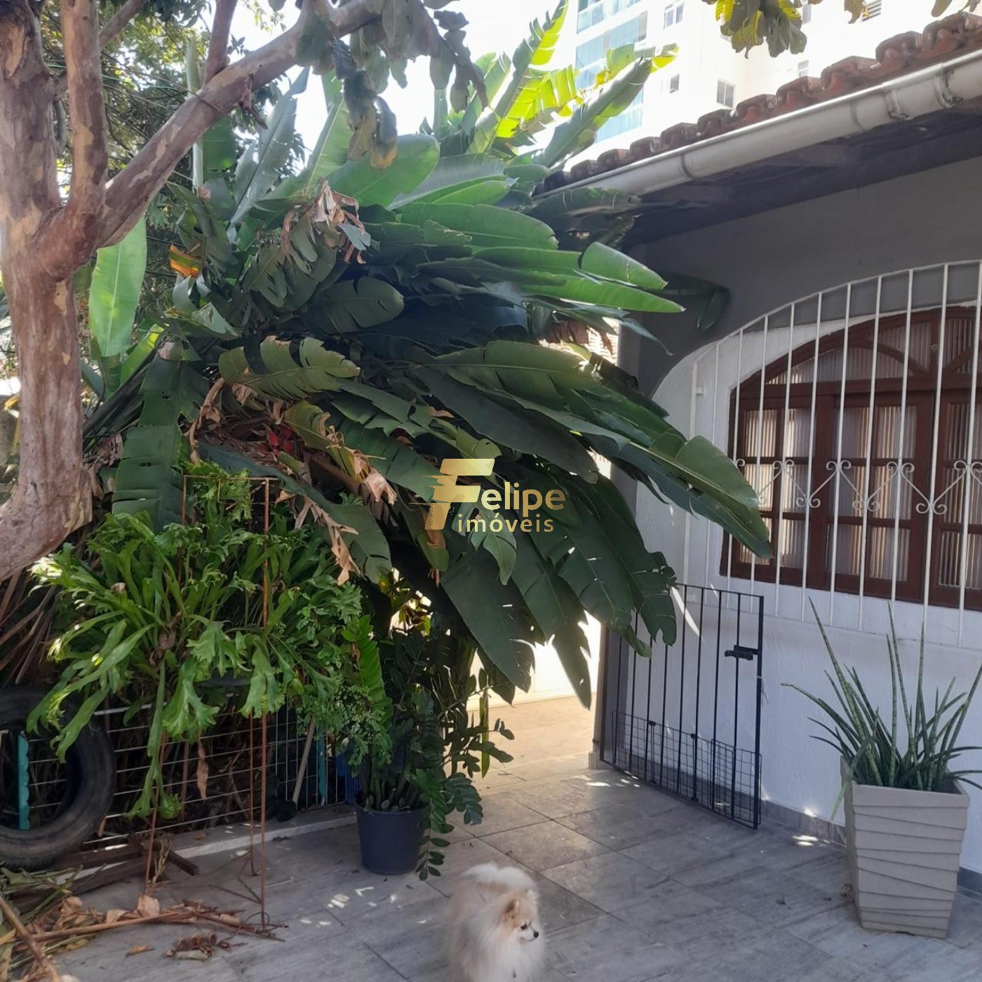 Casa, 4 quartos, 180 m² - Foto 15
