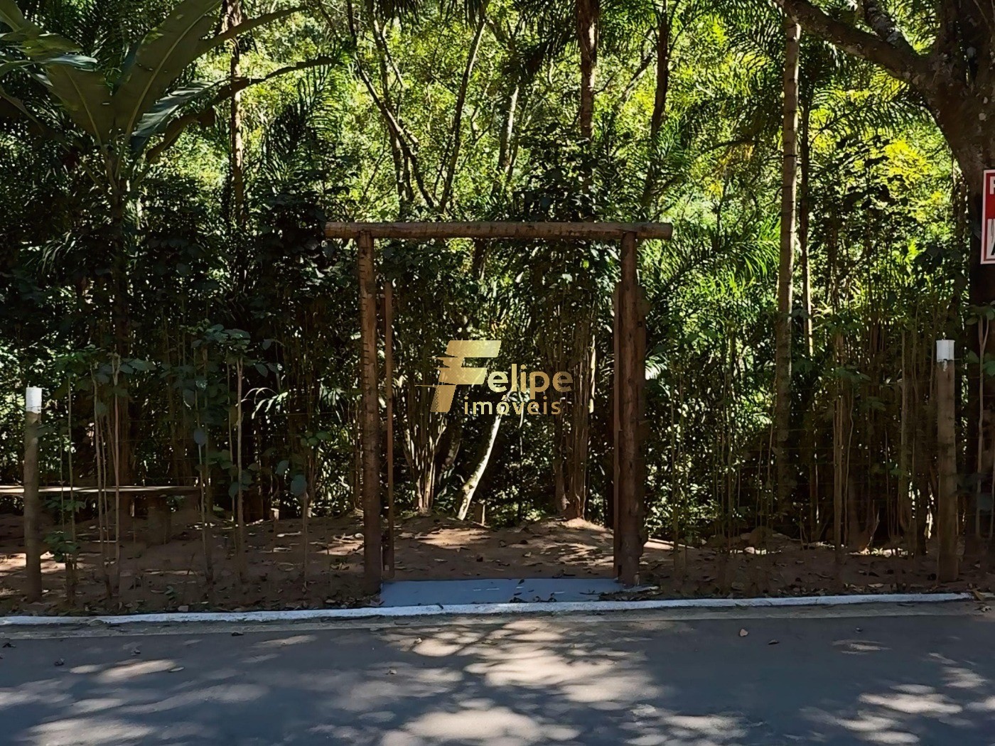 Sítio, 10 quartos, 3 hectares - Foto 13