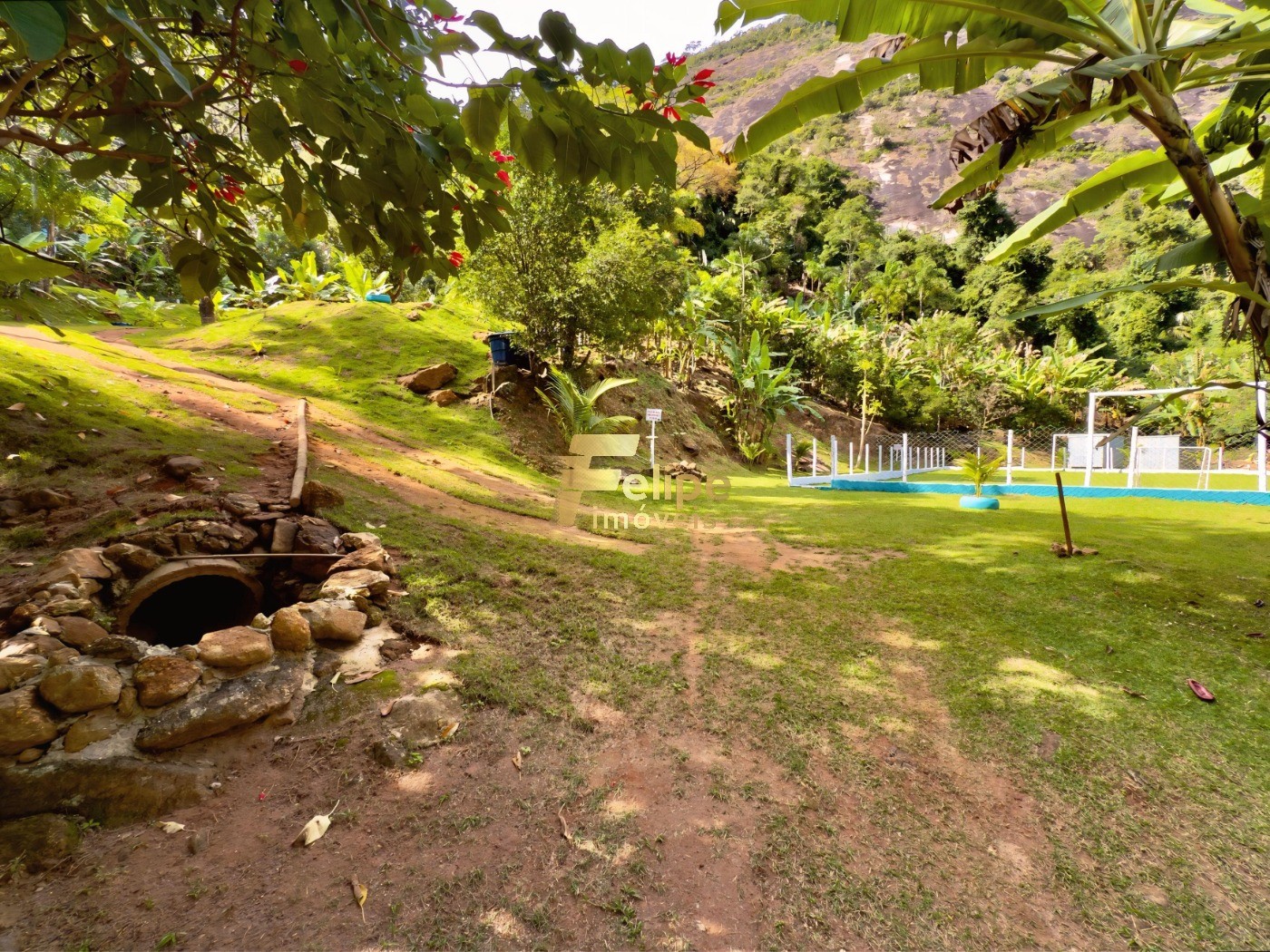 Sítio, 10 quartos, 3 hectares - Foto 8