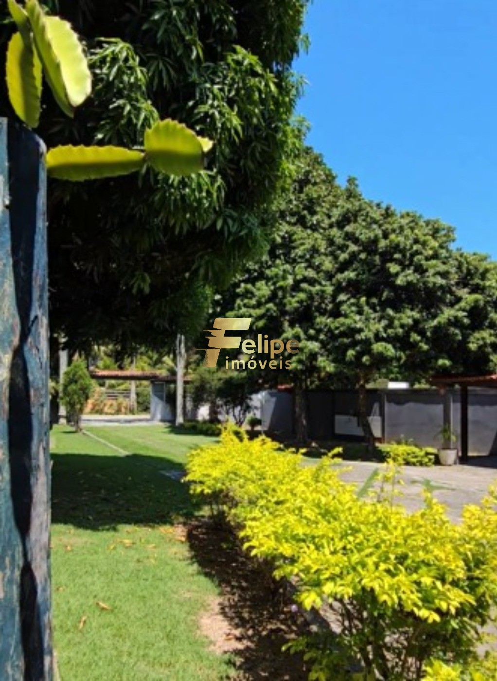 Casa, 3 quartos, 330 m² - Foto 16