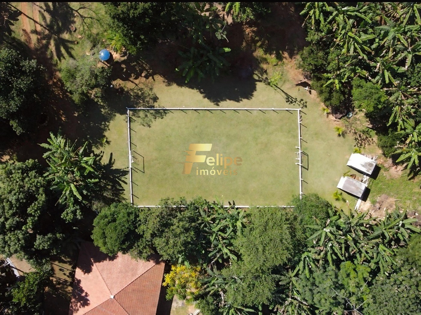 Sítio, 10 quartos, 3 hectares - Foto 7