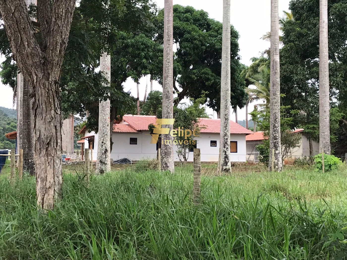 Fazenda, 272 m² - Foto 8
