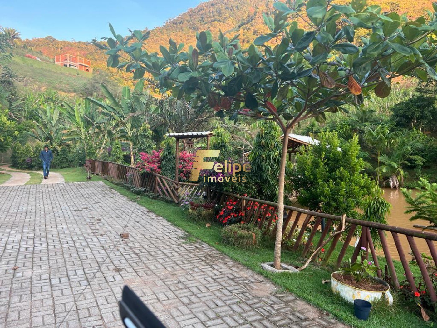 Sítio, 3 quartos, 3 hectares - Foto 16