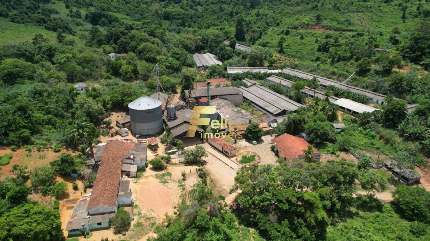 Fazenda, 4600 m² - Foto 1