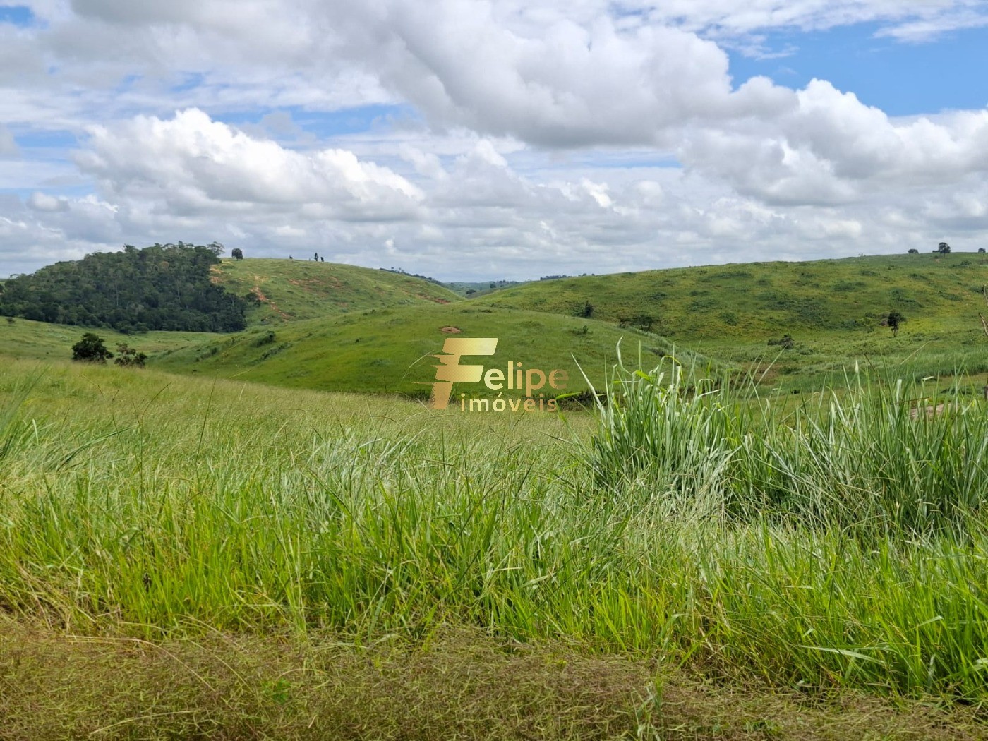 Fazenda, 142 m² - Foto 4