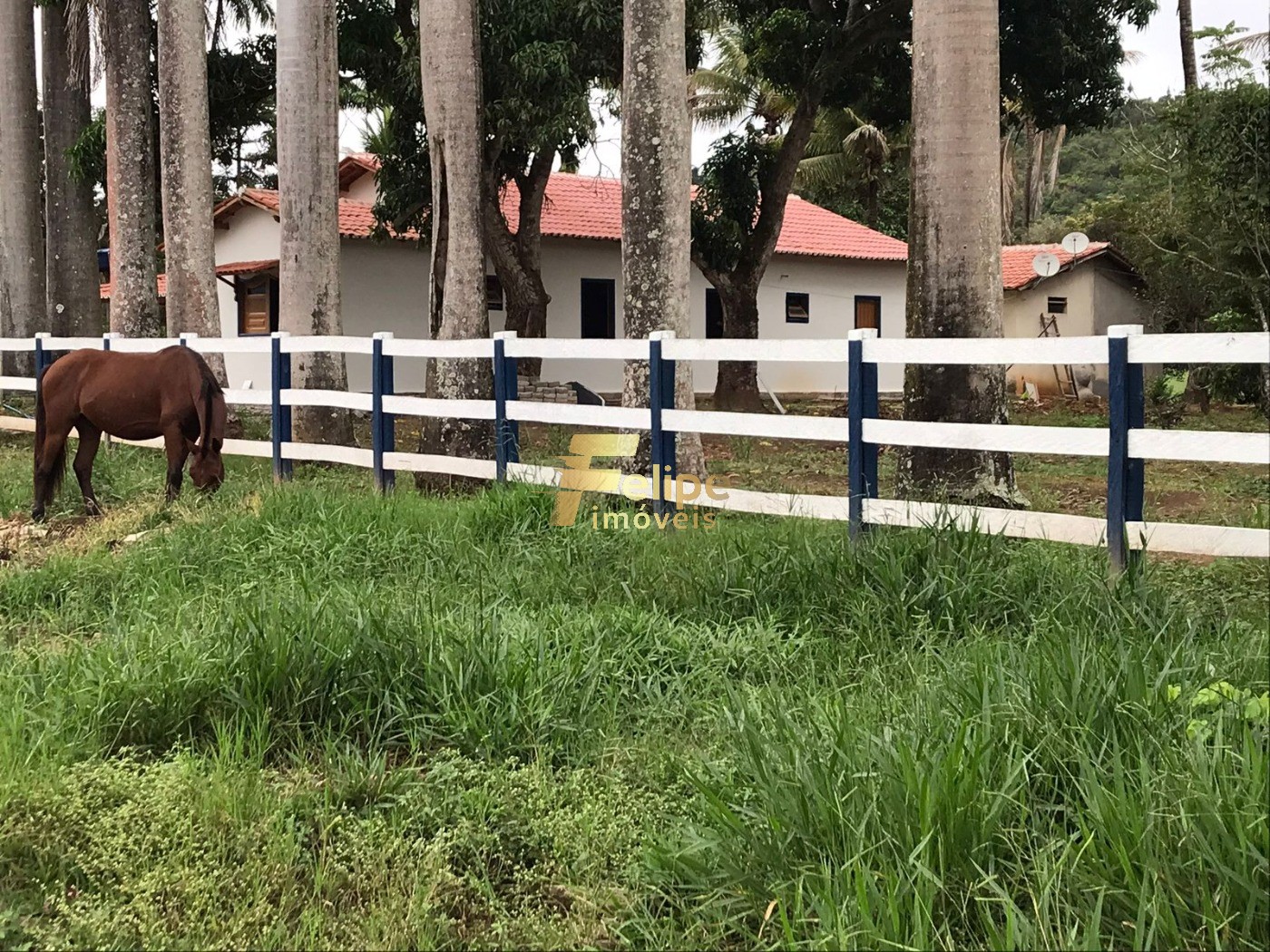 Fazenda, 272 m² - Foto 1