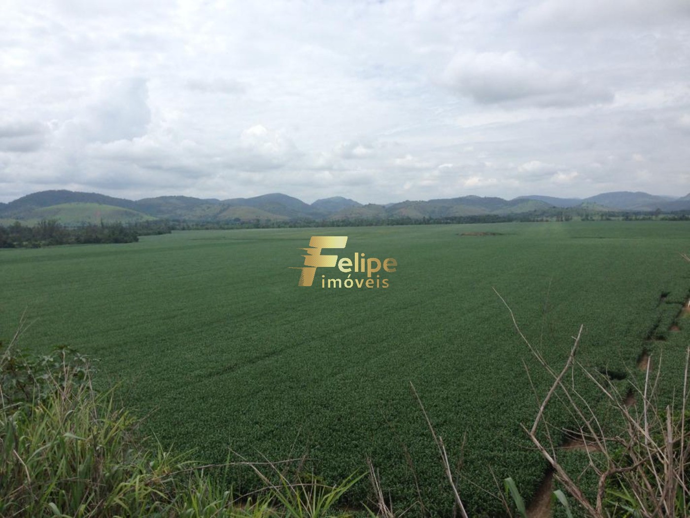 Fazenda, 4600 m² - Foto 10