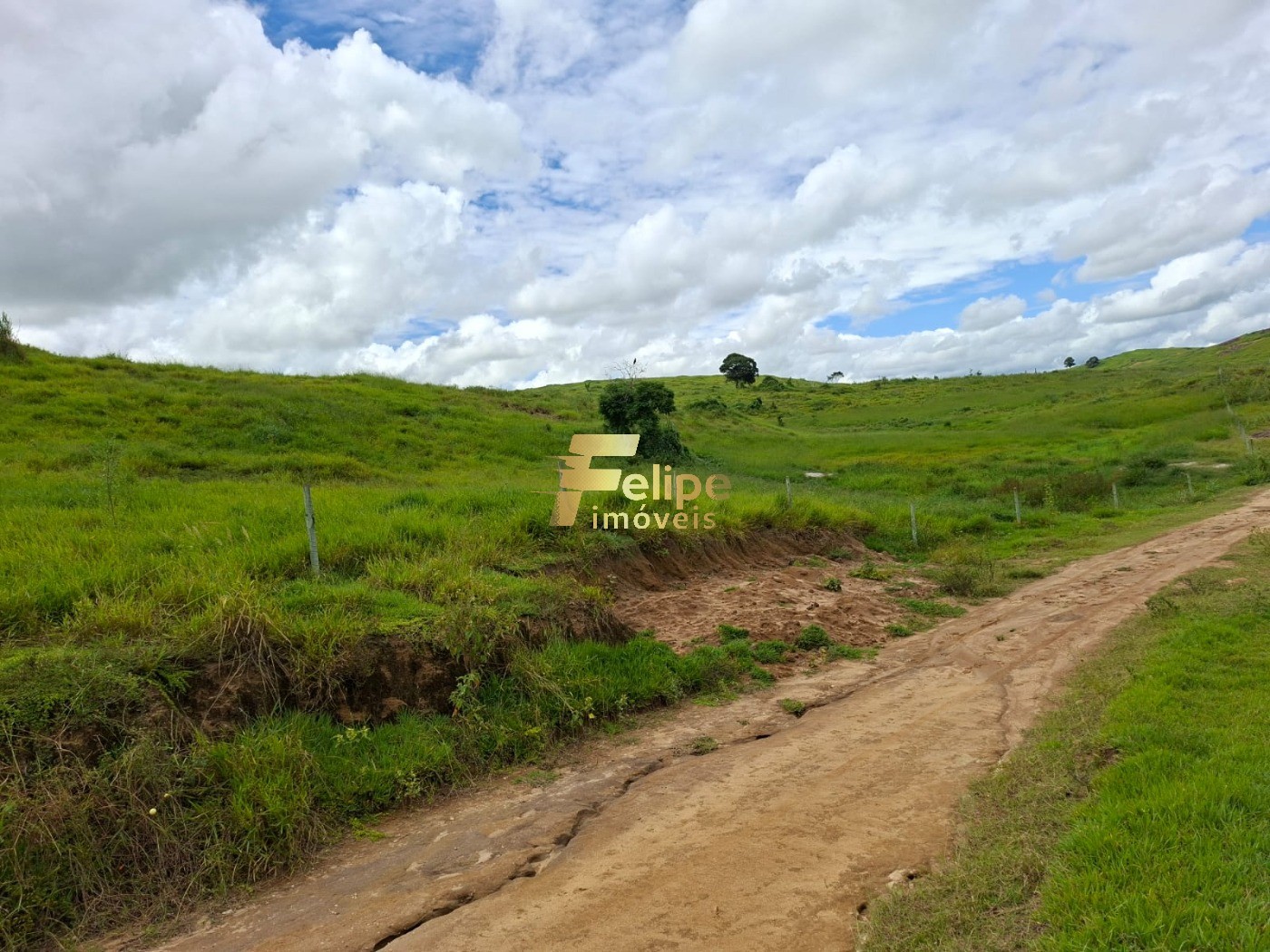 Fazenda, 142 m² - Foto 9
