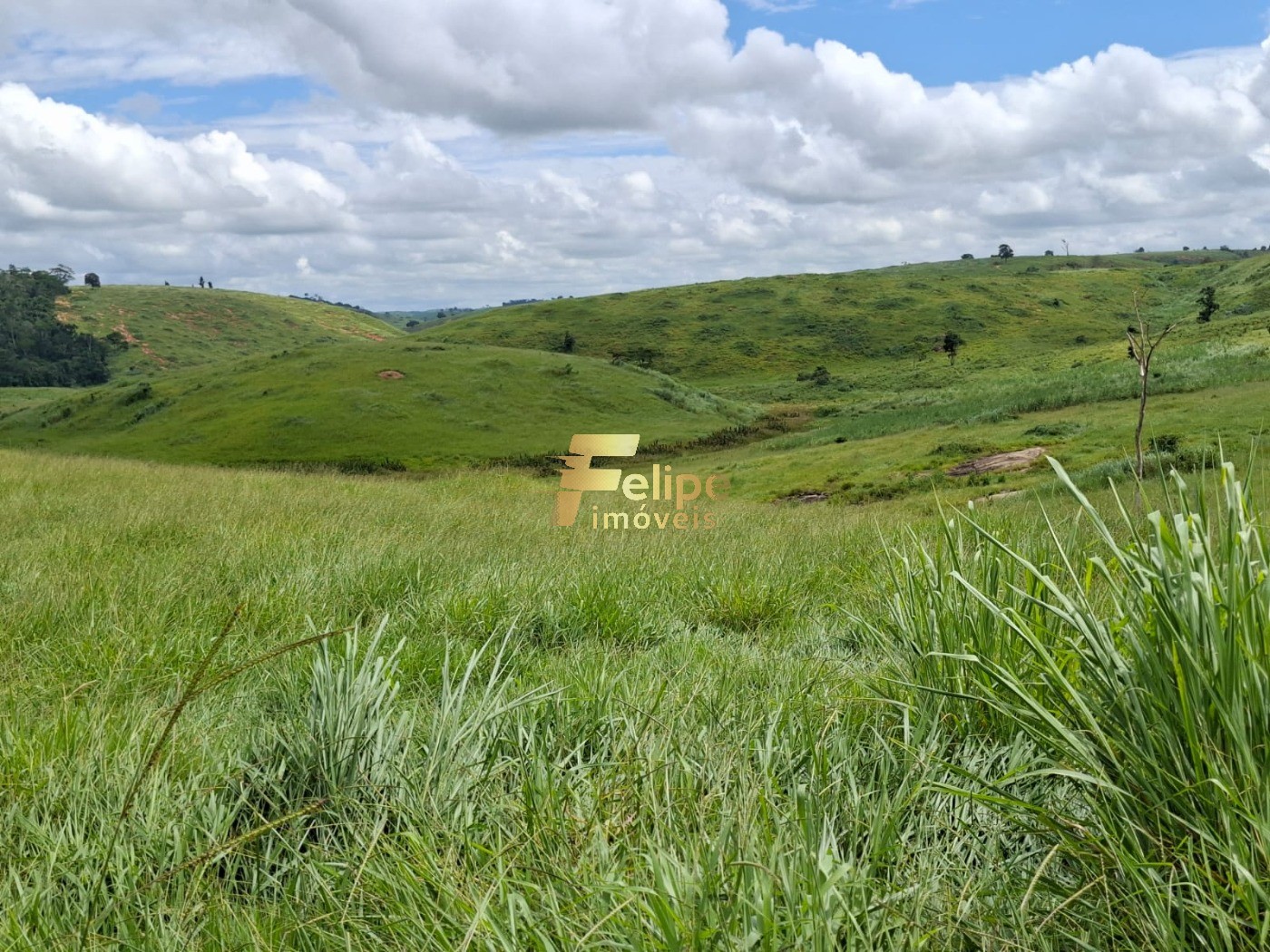 Fazenda, 142 m² - Foto 16