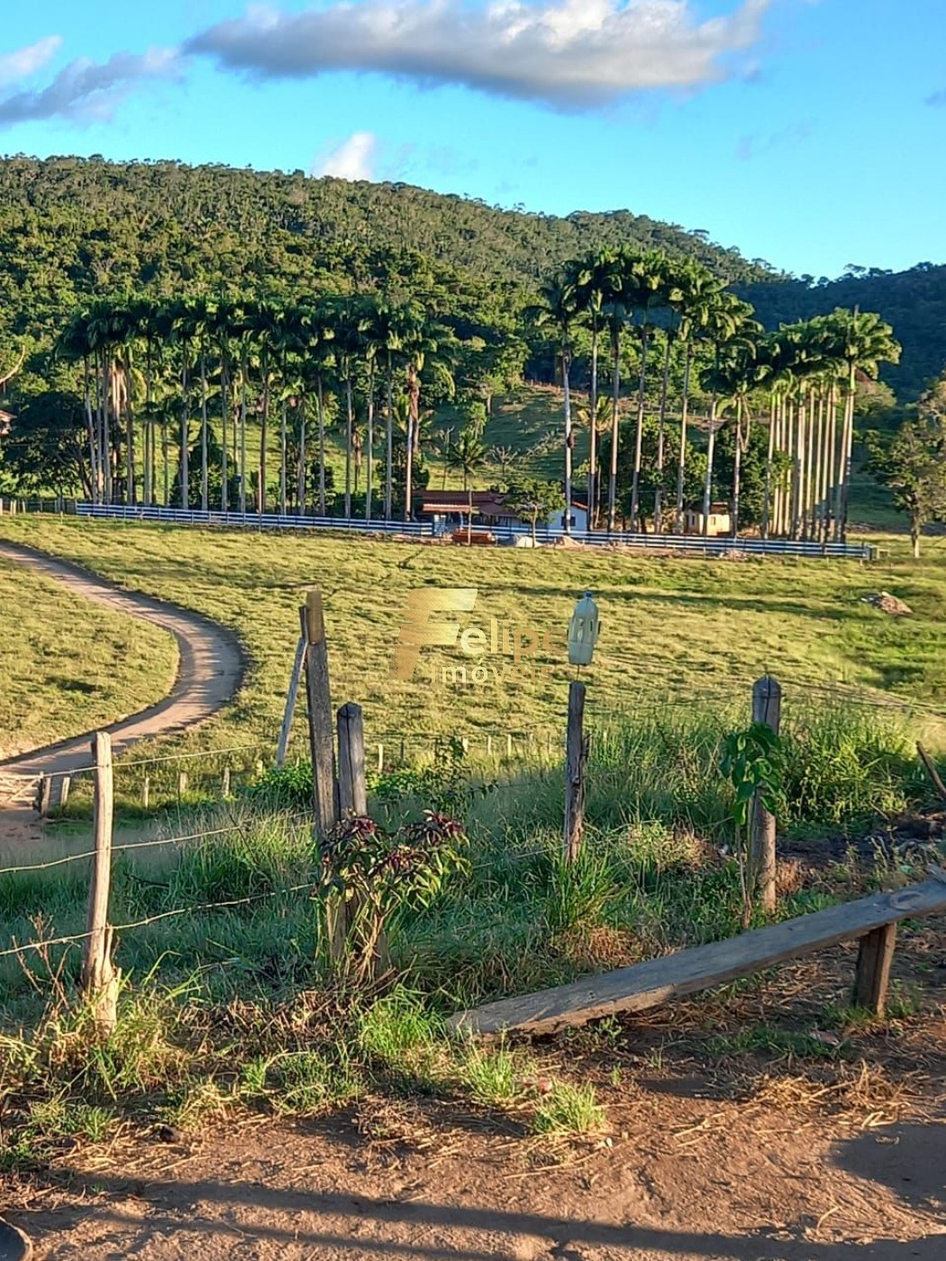Fazenda, 272 m² - Foto 9