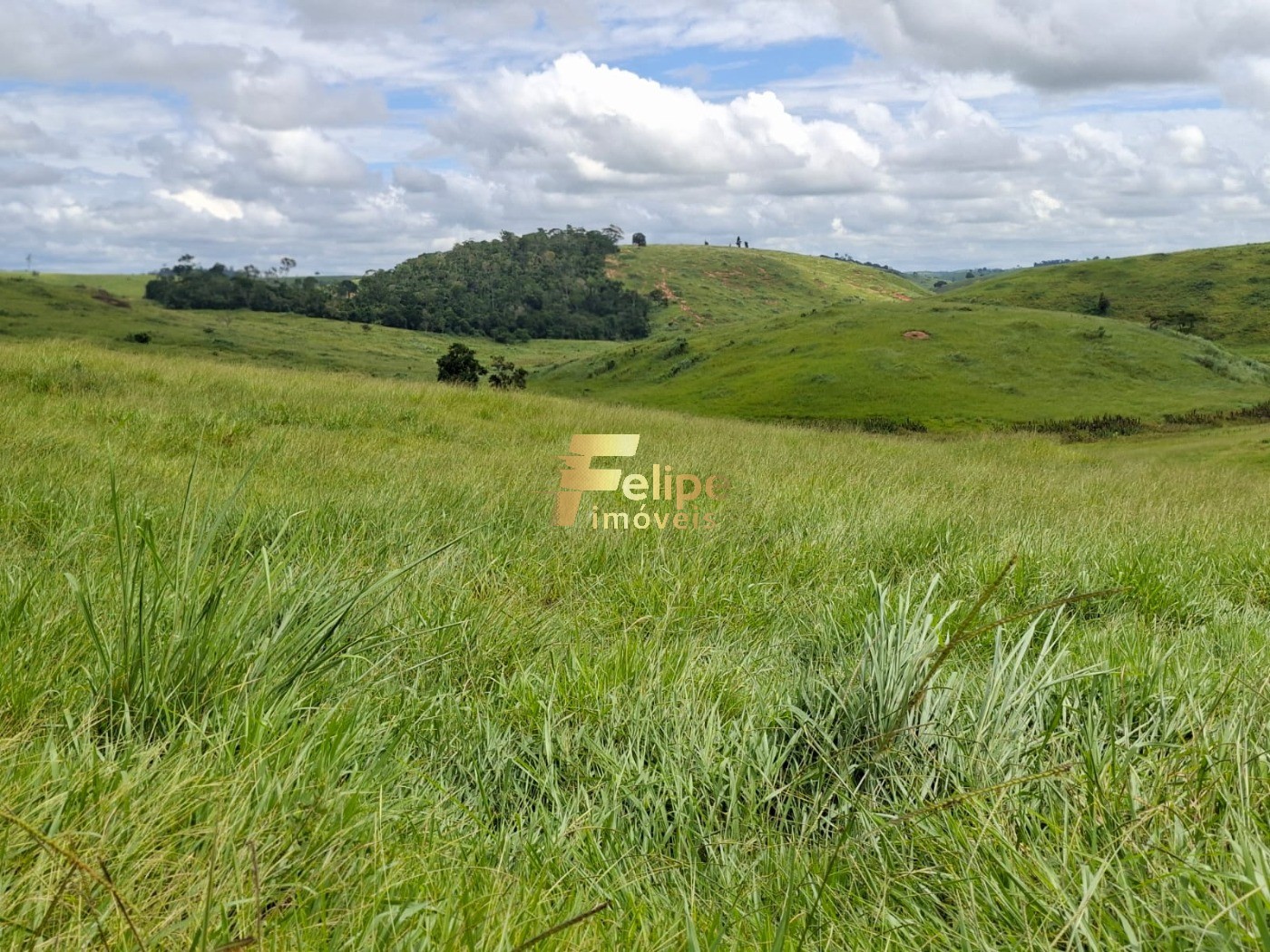 Fazenda, 142 m² - Foto 6