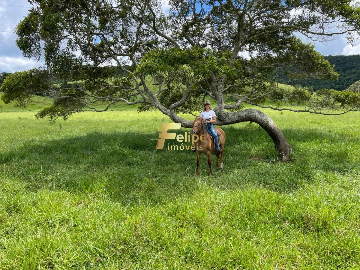 Fazenda, 272 m² - Foto 6