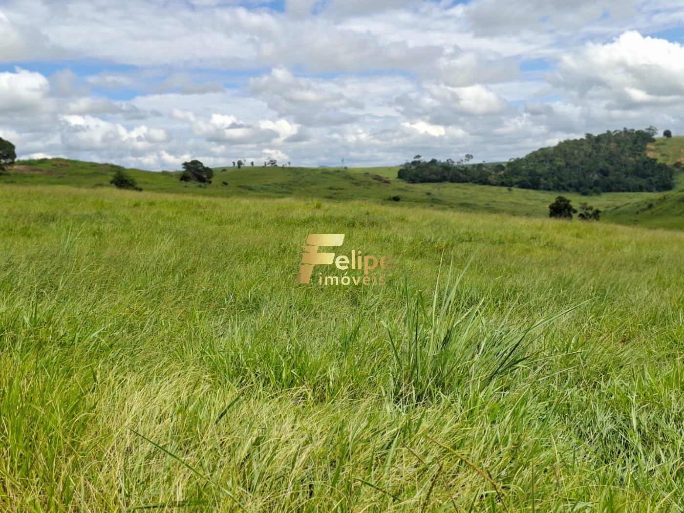 Fazenda, 142 m² - Foto 5