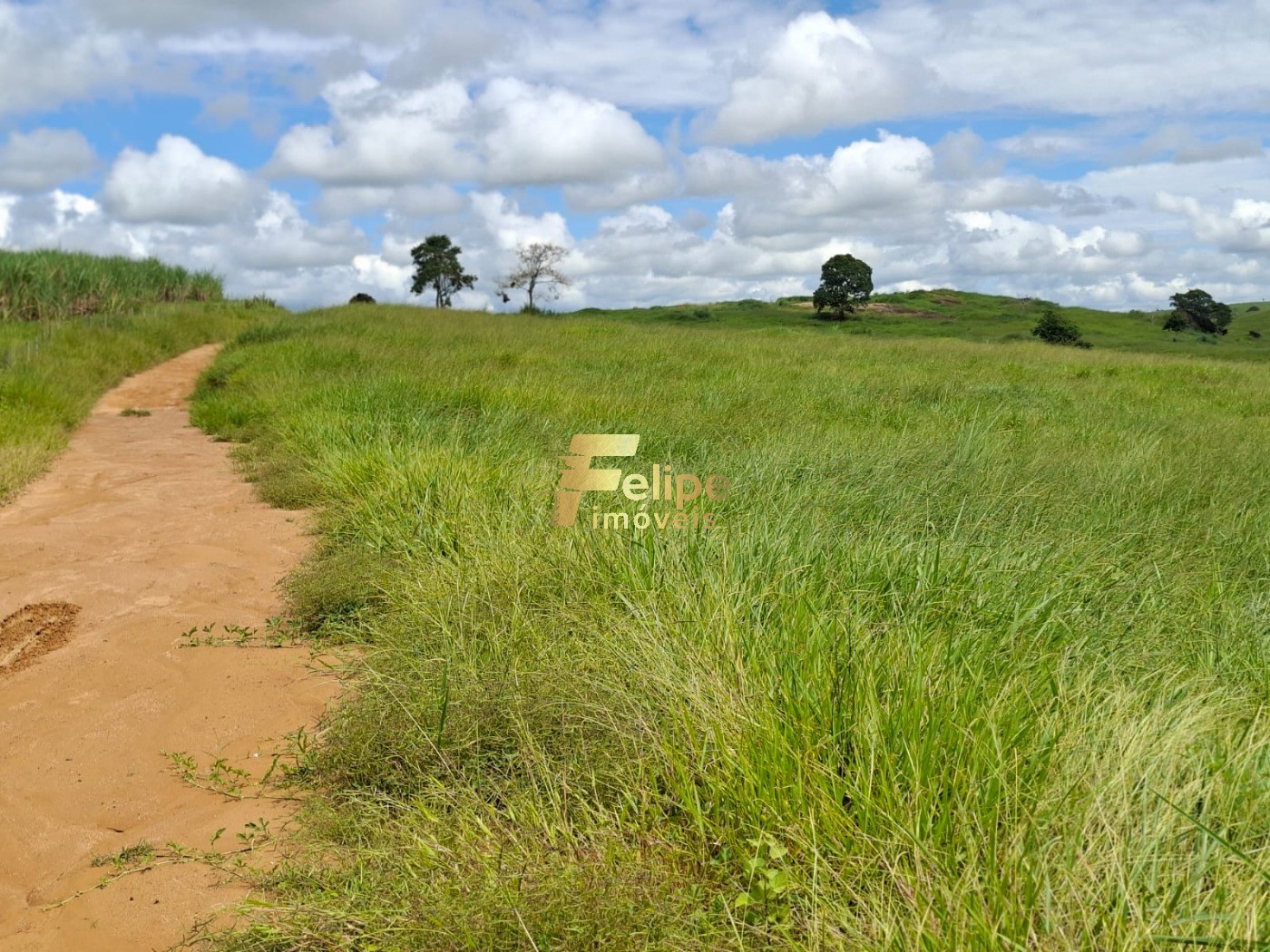 Fazenda, 142 m² - Foto 15