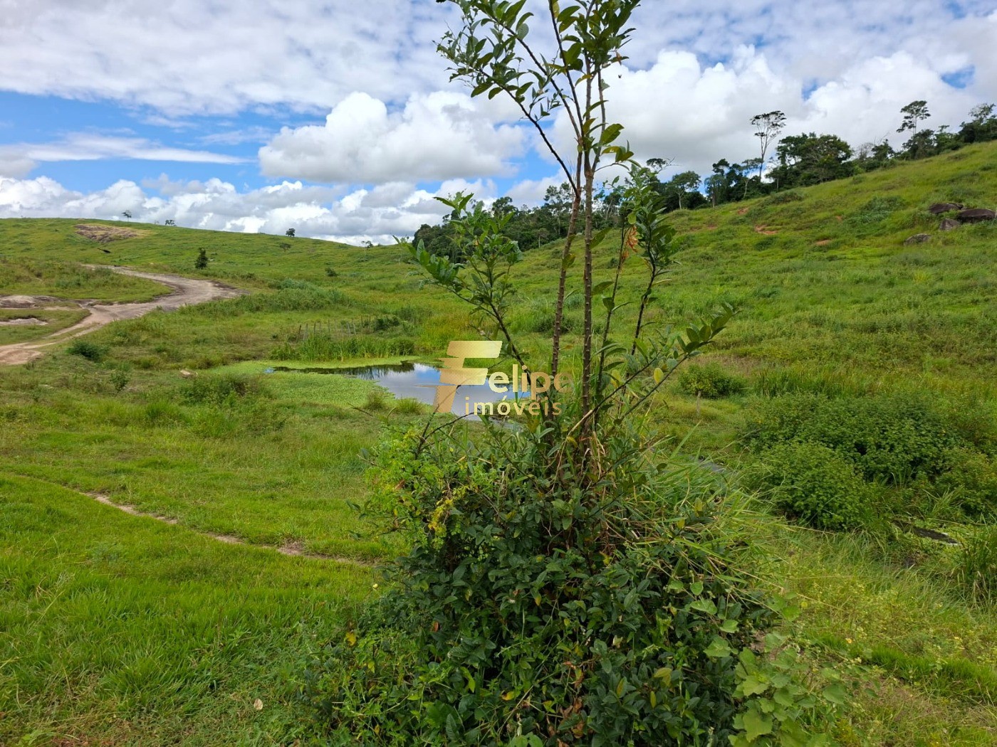 Fazenda, 142 m² - Foto 11