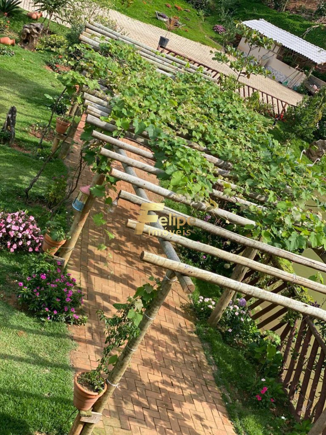 Sítio, 3 quartos, 3 hectares - Foto 18